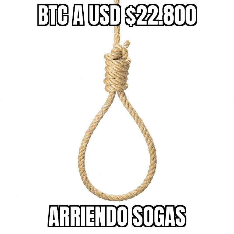 d160C_MrWMBSvCSfMHA4rGmMt79RDGT7sNCl5Ymu7rk-R3-aB20UGbYMspy5RB1Ultt5-5fvkt4T=s800-c-fcrop64=1,00000000ffffffff-nd-v1