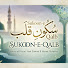 dL4O-YnUx1g-channel-avatar-Sukoon-e-Qalb