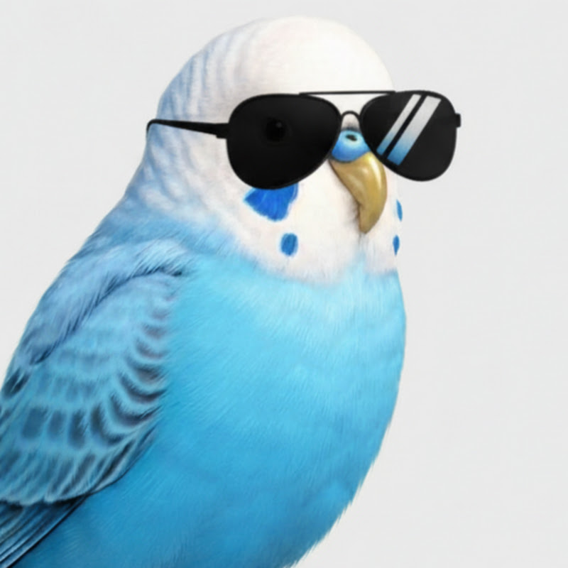 お喋りインコのワダイ【ゴシップ】