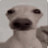 @FifiYayyy Avatar