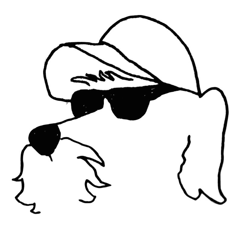 Barryseadogperrins