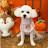 @sunshine-0506
