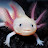 @BB_Axolotl