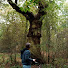 z1iJyCGfkcM-channel-avatar-John James Photography 