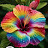 @ponnukutty-y8i
