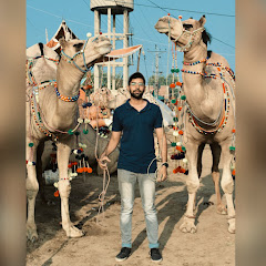 Gujranwala Camel Mandi By Umair Mughal net worth