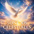 PibjgUNfCkA-channel-avatar-Sonido Celestial