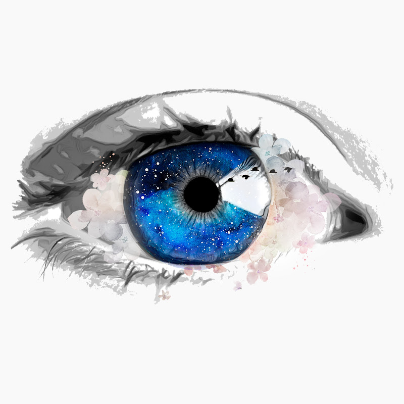 Money Wisdom HUB