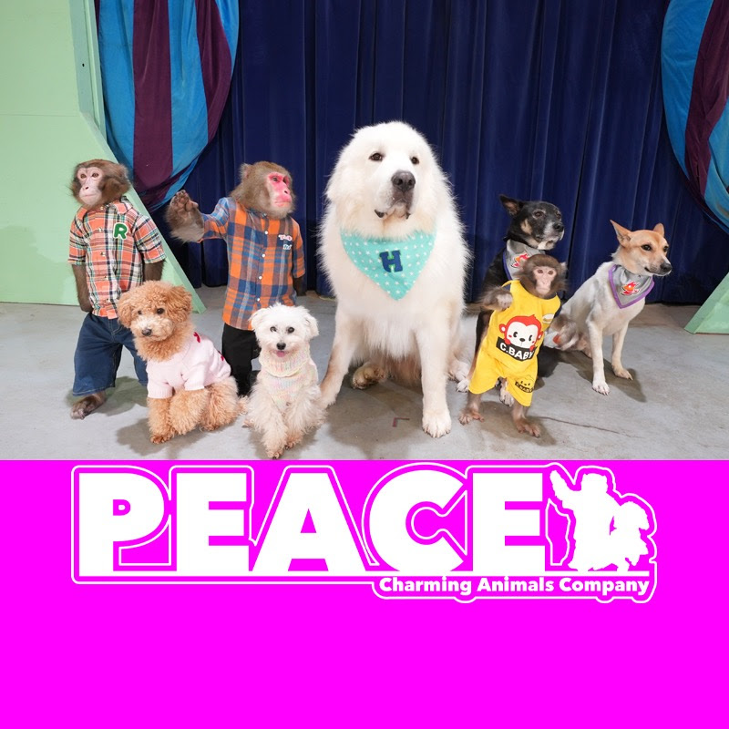 PEACE【アニマルトレーナーの小さな会社】