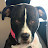 @OOnti-dz4jd's avatar