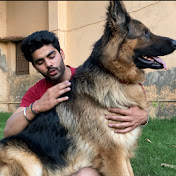 Pet Care