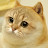 @CatBroiler's avatar