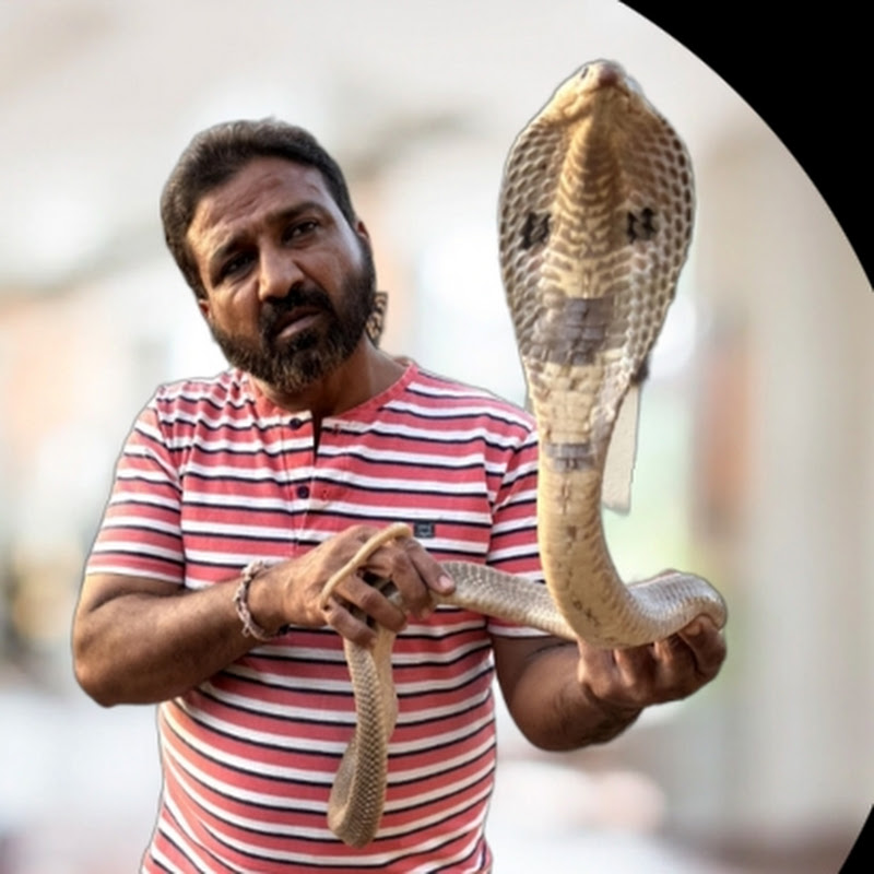 Snake Saver Afsar hussain