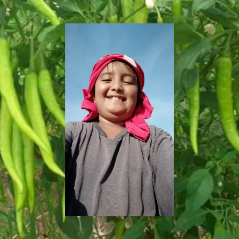 Channel Avatar