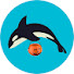 1nvqz3HlBqU-channel-avatar-Aquamarine