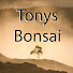 6JSh902YtFk-channel-avatar-Tony's Bonsai