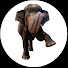 CI89rF0BWs8-channel-avatar-Siti Gajah