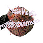 Apple Entertainment Media  logo