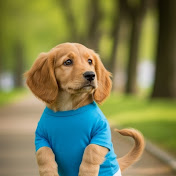 HeroDog Toon