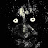 Y4kGGMdHegw-channel-avatar-Diabetesno