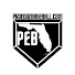17UHjmfSb3I-channel-avatar-PROEDGEBIKER