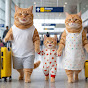Ginger Kitten Daily Life Avatar