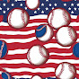 GTA Daily Baseball USA  logo