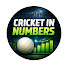 Zo4i449t6ig-channel-avatar-Cricket In Numbers