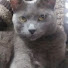 Ney6dfFlZc0-channel-avatar-canelitagz