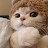 @user-qt7nf6do8u