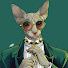7kCrKwZNq6k-channel-avatar-Wild Cat