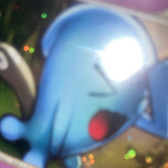 ヒーナンスのコレクション投資チャンネル　ポケモンカード　Wobbuffet