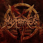 Disformes logo