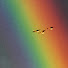 RtkQ1VbON1M-channel-avatar-Johannes Holmer