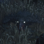 Friendly Foe