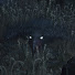 MW1St_UNcbI-channel-avatar-Friendly Foe