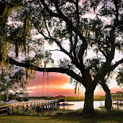 southern vibes ai 2.0