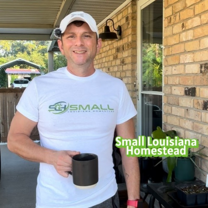 Small Louisiana Homestead 