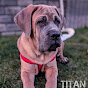 Titan The Cane Corso logo