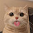 @timmyyyyyyyyyyyyyy