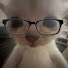 vTV77fY_6hw-channel-avatar-v0x