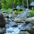 gwxnJyN3OJo-channel-avatar-Natura River