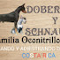 IAFxt4m7-Fk-channel-avatar-DOBERMAN SCHNAUZER FAMILIA OCONITRILLO RIVERA