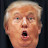 @TDS_is_Trump_Diaper_Soiler