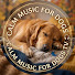 0kKqIHwb1WI-channel-avatar-Calm Music For Dogs TV