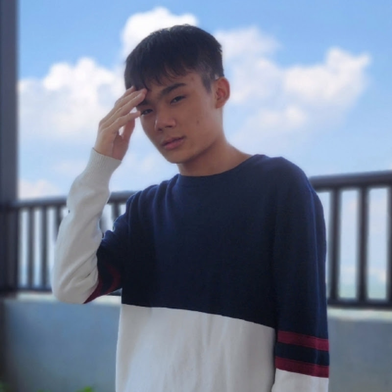 Hire Mr Nicholas Ng 吴家乐 — Lifestyle & Vlogs YouTube creator for sponsorships