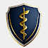 3Q-c1O7NEdY-channel-avatar-MiniMedLessons