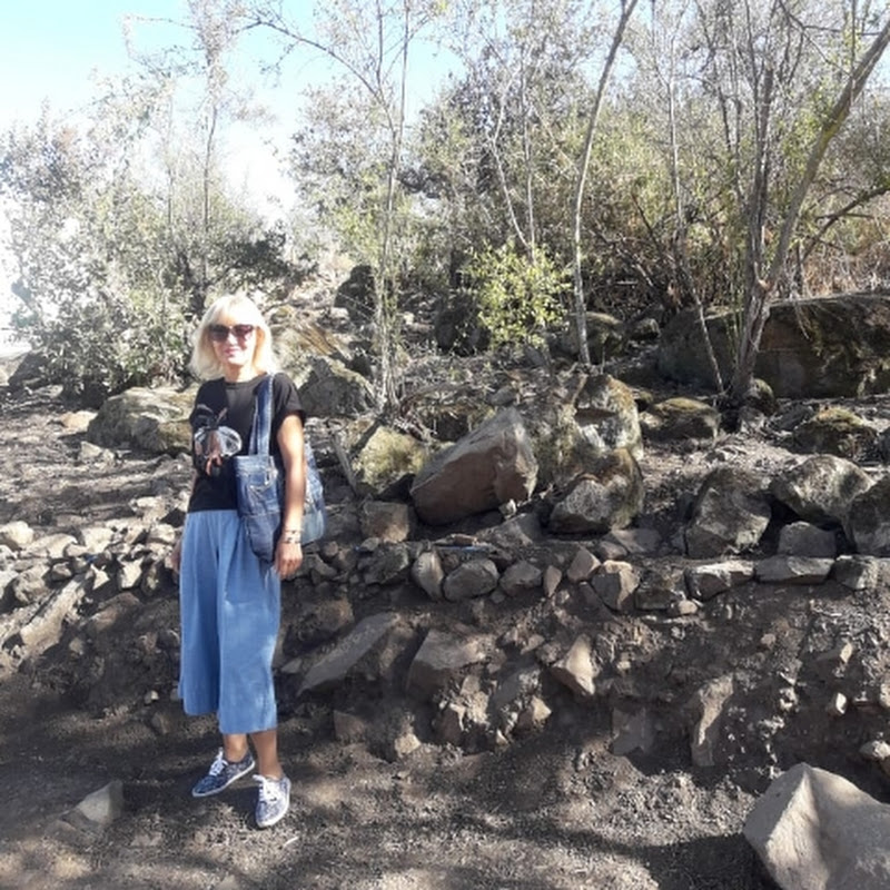 Чилийская парсела Logo