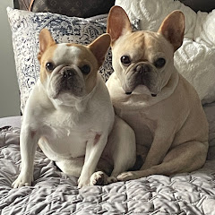 Off Leash News