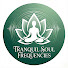 BsDyjN1hokM-channel-avatar-Tranquil Soul Frequencies